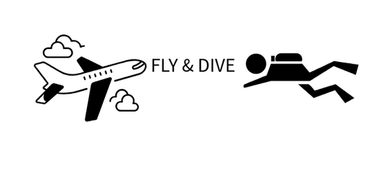 The Ultimate PTB Travel Guide for Smooth Flying